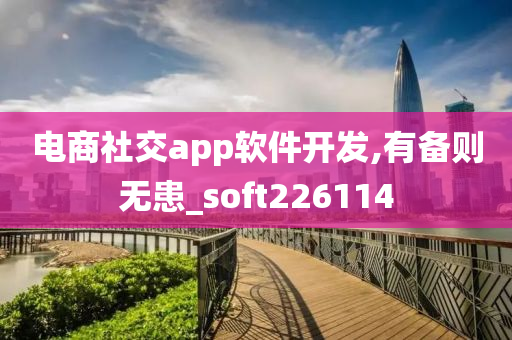 电商社交app软件开发,有备则无患_soft226114