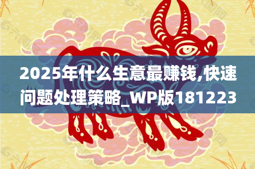 2025年什么生意最赚钱,快速问题处理策略_WP版181223