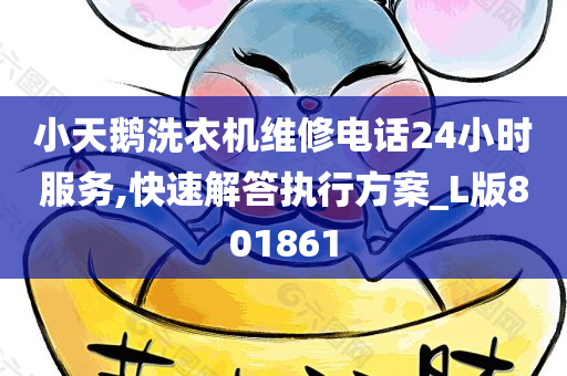 小天鹅洗衣机维修电话24小时服务,快速解答执行方案_L版801861