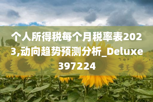 个人所得税每个月税率表2023,动向趋势预测分析_Deluxe397224