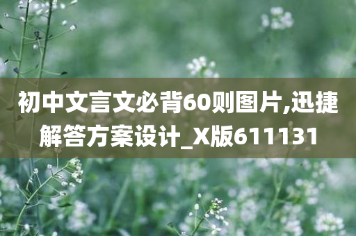 初中文言文必背60则图片,迅捷解答方案设计_X版611131