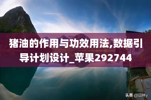 猪油的作用与功效用法,数据引导计划设计_苹果292744