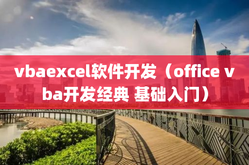 vbaexcel软件开发（office vba开发经典 基础入门）