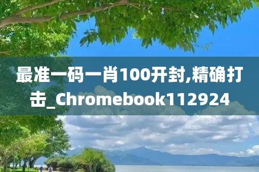 最准一码一肖100开封,精确打击_Chromebook112924