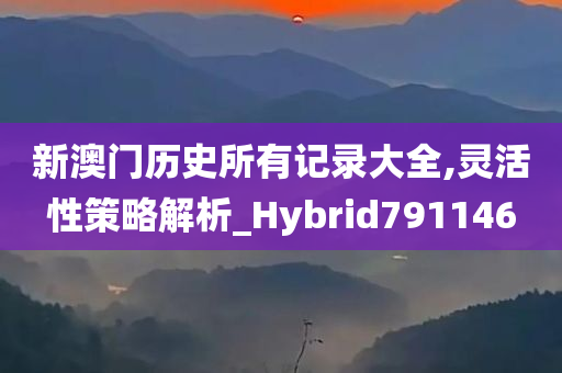 新澳门历史所有记录大全,灵活性策略解析_Hybrid791146