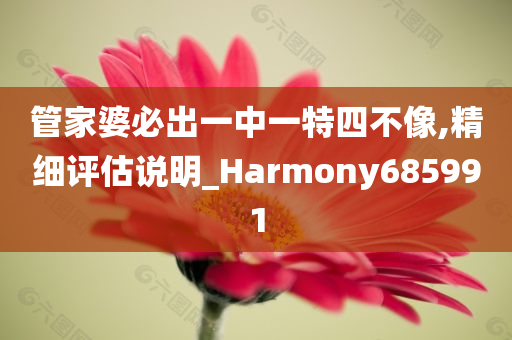 管家婆必出一中一特四不像,精细评估说明_Harmony685991