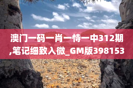 澳门一码一肖一恃一中312期,笔记细致入微_GM版398153