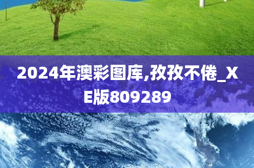 2024年澳彩图库,孜孜不倦_XE版809289