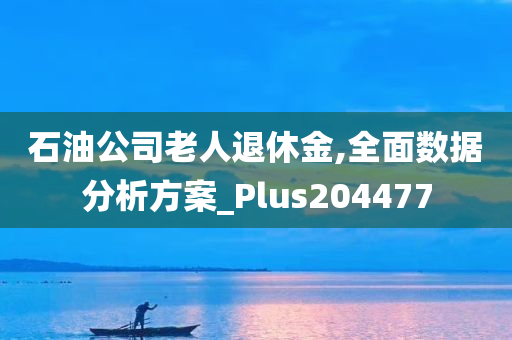 石油公司老人退休金,全面数据分析方案_Plus204477