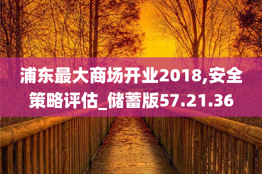 浦东最大商场开业2018,安全策略评估_储蓄版57.21.36