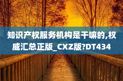 知识产权服务机构是干嘛的,权威汇总正版_CXZ版?DT434