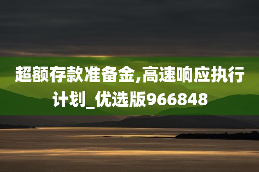 超额存款准备金,高速响应执行计划_优选版966848