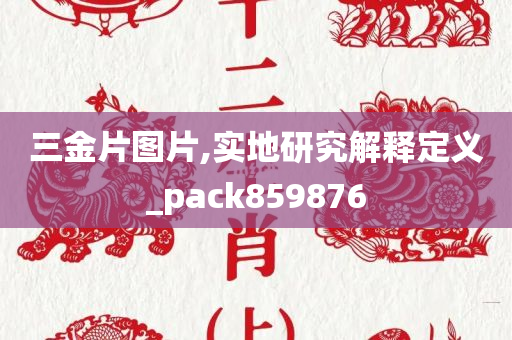 三金片图片,实地研究解释定义_pack859876