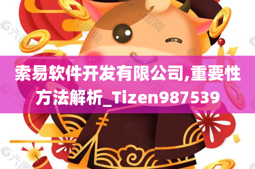 索易软件开发有限公司,重要性方法解析_Tizen987539