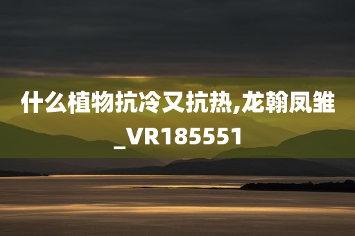 什么植物抗冷又抗热,龙翰凤雏_VR185551