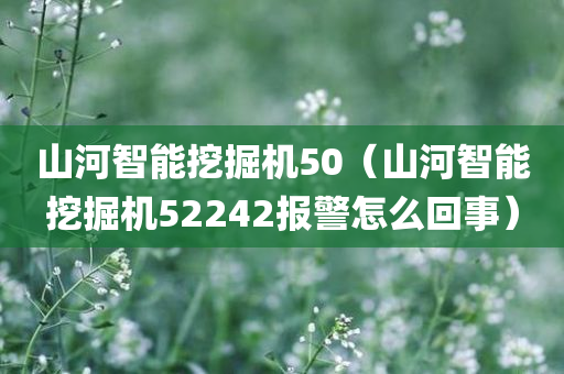 山河智能挖掘机50（山河智能挖掘机52242报警怎么回事）