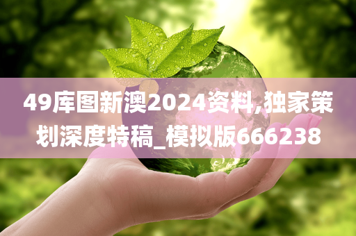 49库图新澳2024资料,独家策划深度特稿_模拟版666238