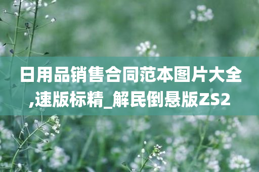 日用品销售合同范本图片大全,速版标精_解民倒悬版ZS2