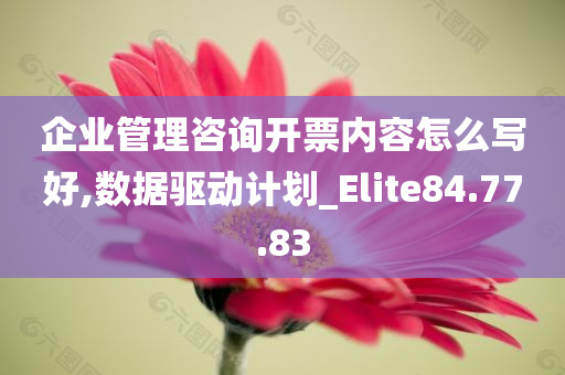 企业管理咨询开票内容怎么写好,数据驱动计划_Elite84.77.83