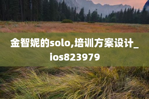 金智妮的solo,培训方案设计_ios823979