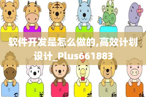 软件开发是怎么做的,高效计划设计_Plus661883