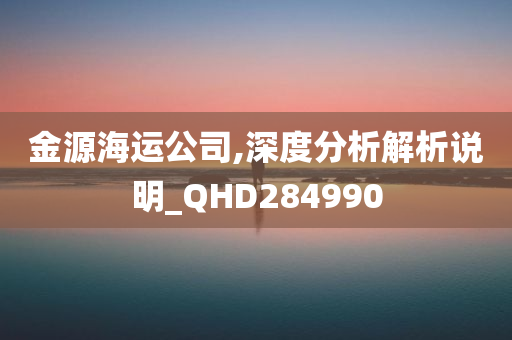 金源海运公司,深度分析解析说明_QHD284990