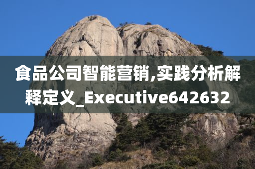 食品公司智能营销,实践分析解释定义_Executive642632