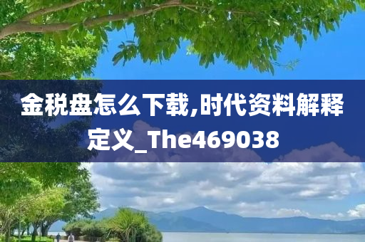 金税盘怎么下载,时代资料解释定义_The469038