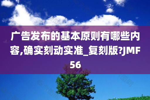 广告发布的基本原则有哪些内容,确实刻动实准_复刻版?JMF56