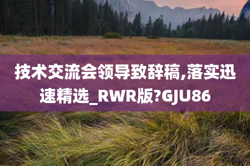 技术交流会领导致辞稿,落实迅速精选_RWR版?GJU86