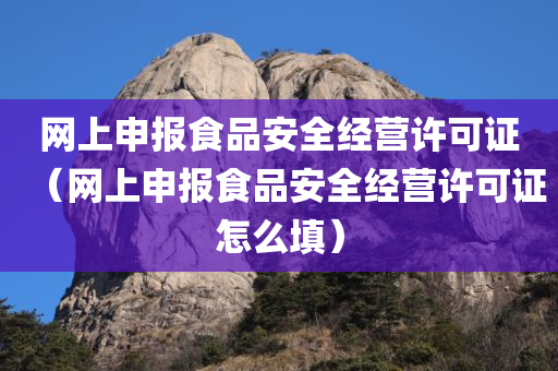 网上申报食品安全经营许可证（网上申报食品安全经营许可证怎么填）