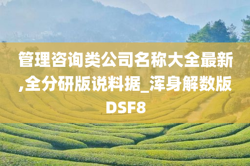 管理咨询类公司名称大全最新,全分研版说料据_浑身解数版DSF8