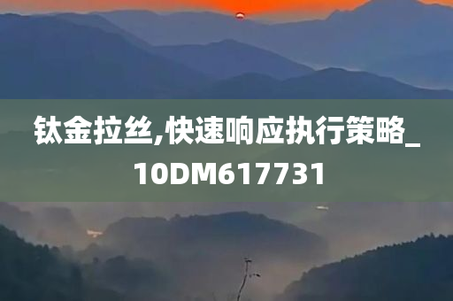 钛金拉丝,快速响应执行策略_10DM617731