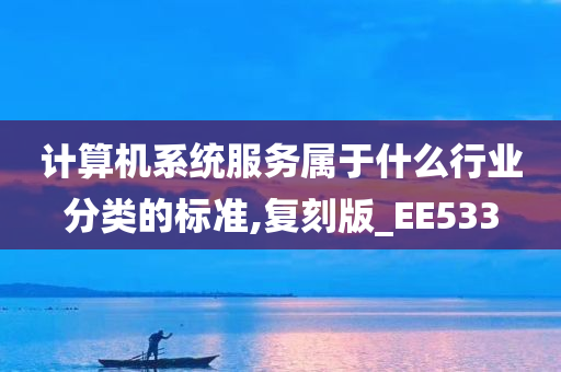 计算机系统服务属于什么行业分类的标准,复刻版_EE533