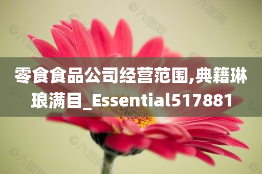 零食食品公司经营范围,典籍琳琅满目_Essential517881