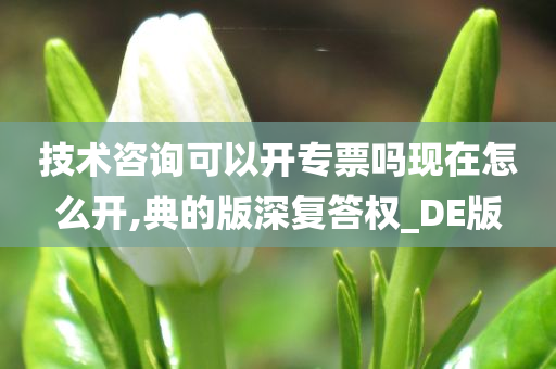 技术咨询可以开专票吗现在怎么开,典的版深复答权_DE版