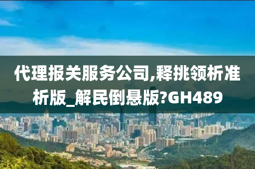 代理报关服务公司,释挑领析准析版_解民倒悬版?GH489