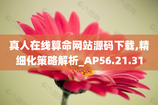 真人在线算命网站源码下载,精细化策略解析_AP56.21.31