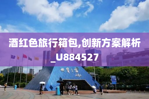 酒红色旅行箱包,创新方案解析_U884527