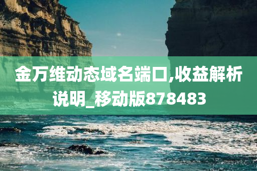 金万维动态域名端口,收益解析说明_移动版878483