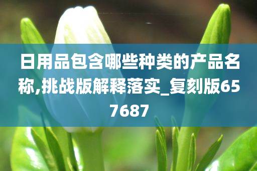 日用品包含哪些种类的产品名称,挑战版解释落实_复刻版657687