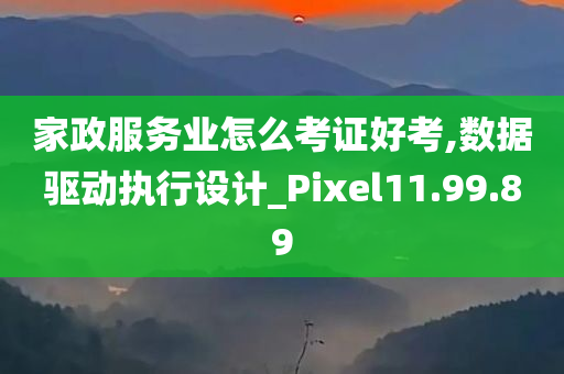 家政服务业怎么考证好考,数据驱动执行设计_Pixel11.99.89