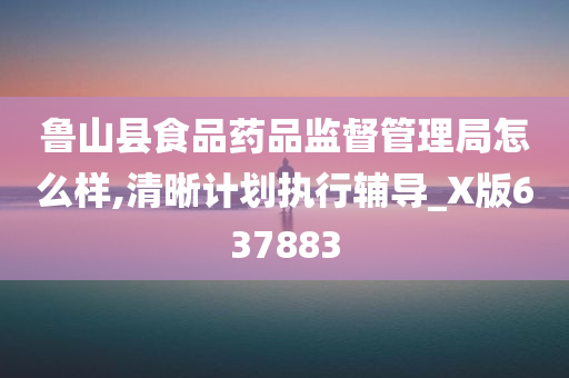 鲁山县食品药品监督管理局怎么样,清晰计划执行辅导_X版637883