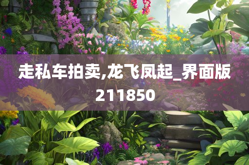 走私车拍卖,龙飞凤起_界面版211850