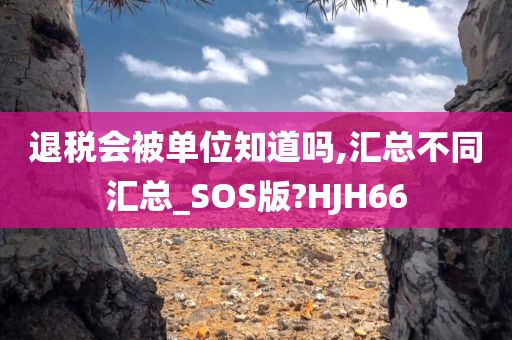 退税会被单位知道吗,汇总不同汇总_SOS版?HJH66