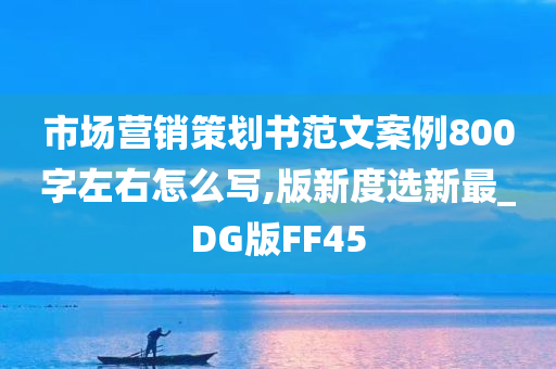 市场营销策划书范文案例800字左右怎么写,版新度选新最_DG版FF45