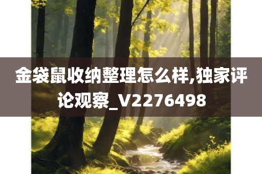 金袋鼠收纳整理怎么样,独家评论观察_V2276498