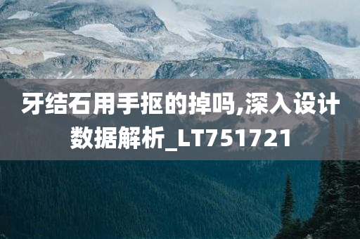 牙结石用手抠的掉吗,深入设计数据解析_LT751721