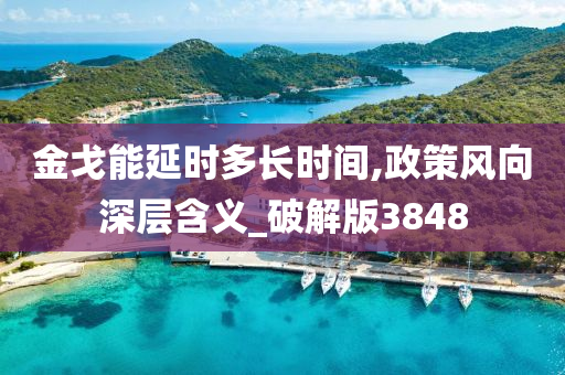 金戈能延时多长时间,政策风向深层含义_破解版3848