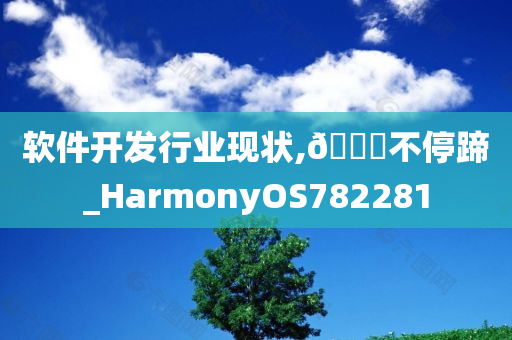 软件开发行业现状,🐎不停蹄_HarmonyOS782281